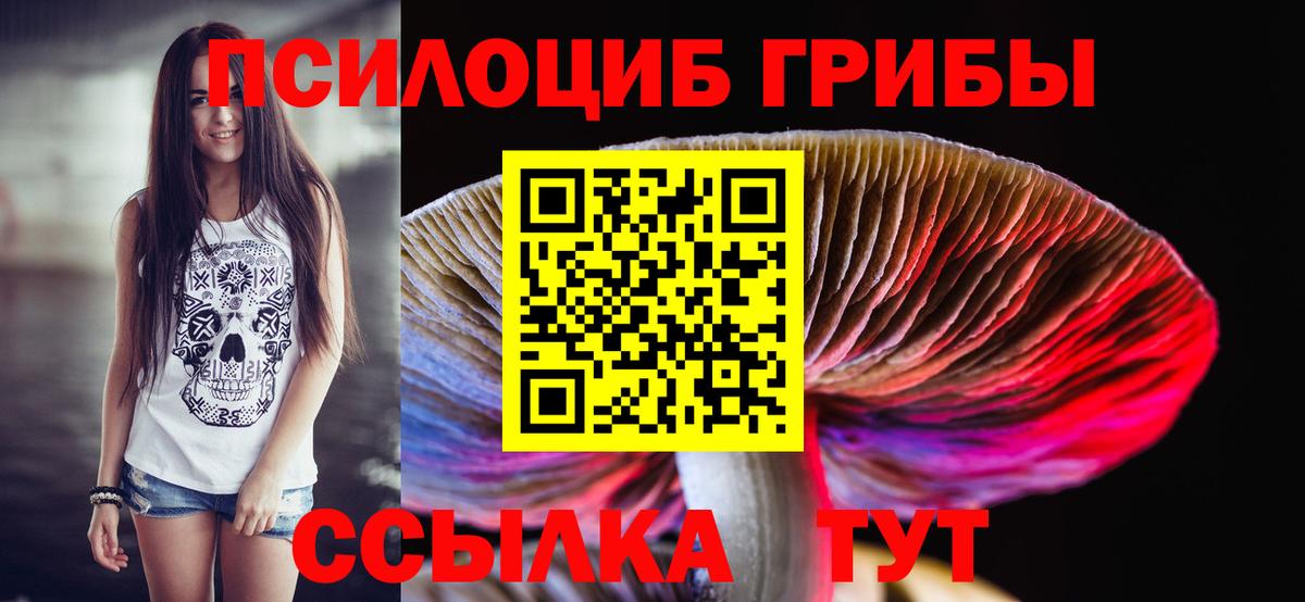 Псилоцибиновые грибы Cubensis Баксан
